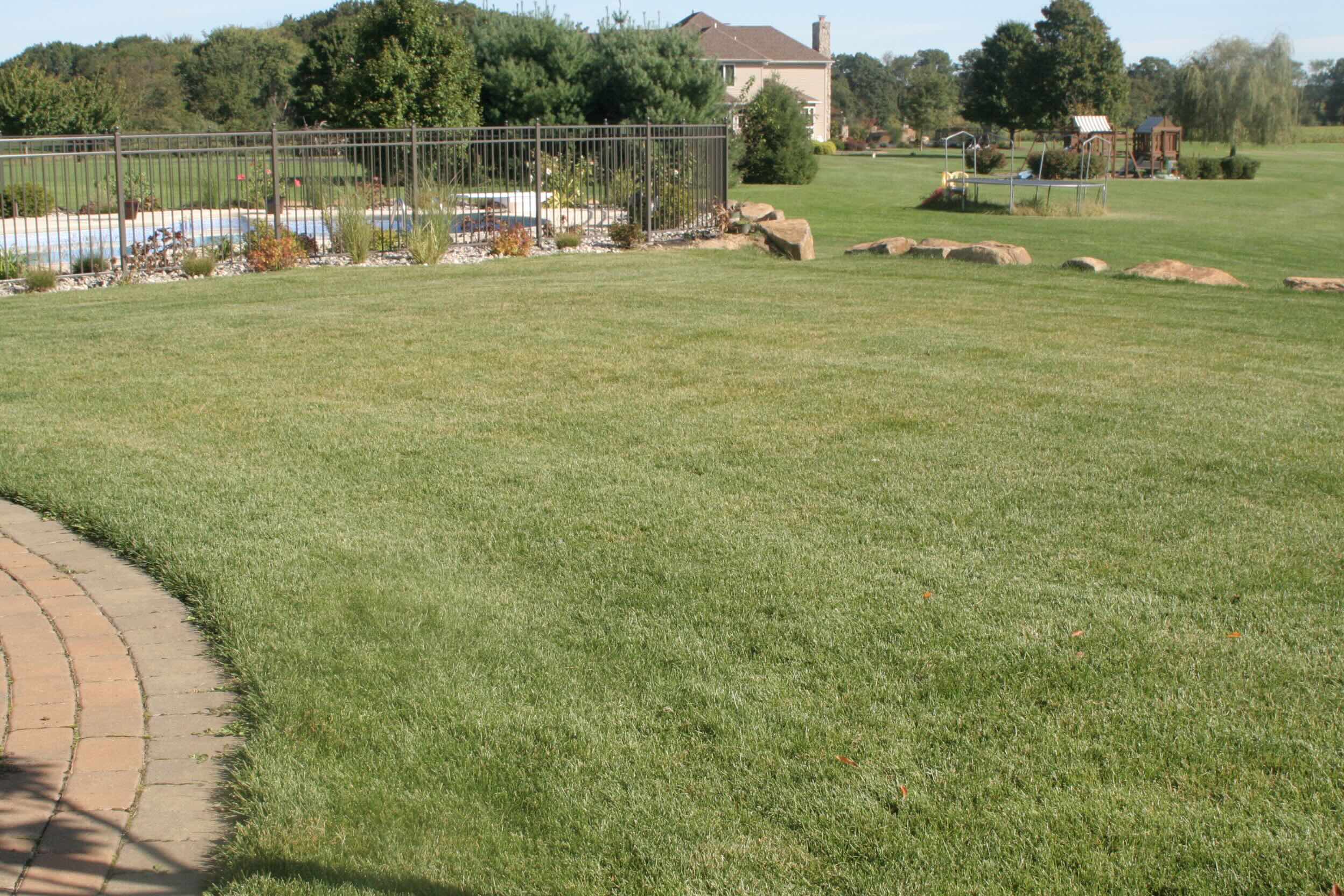 Beautiful mature green lawn after sod installation