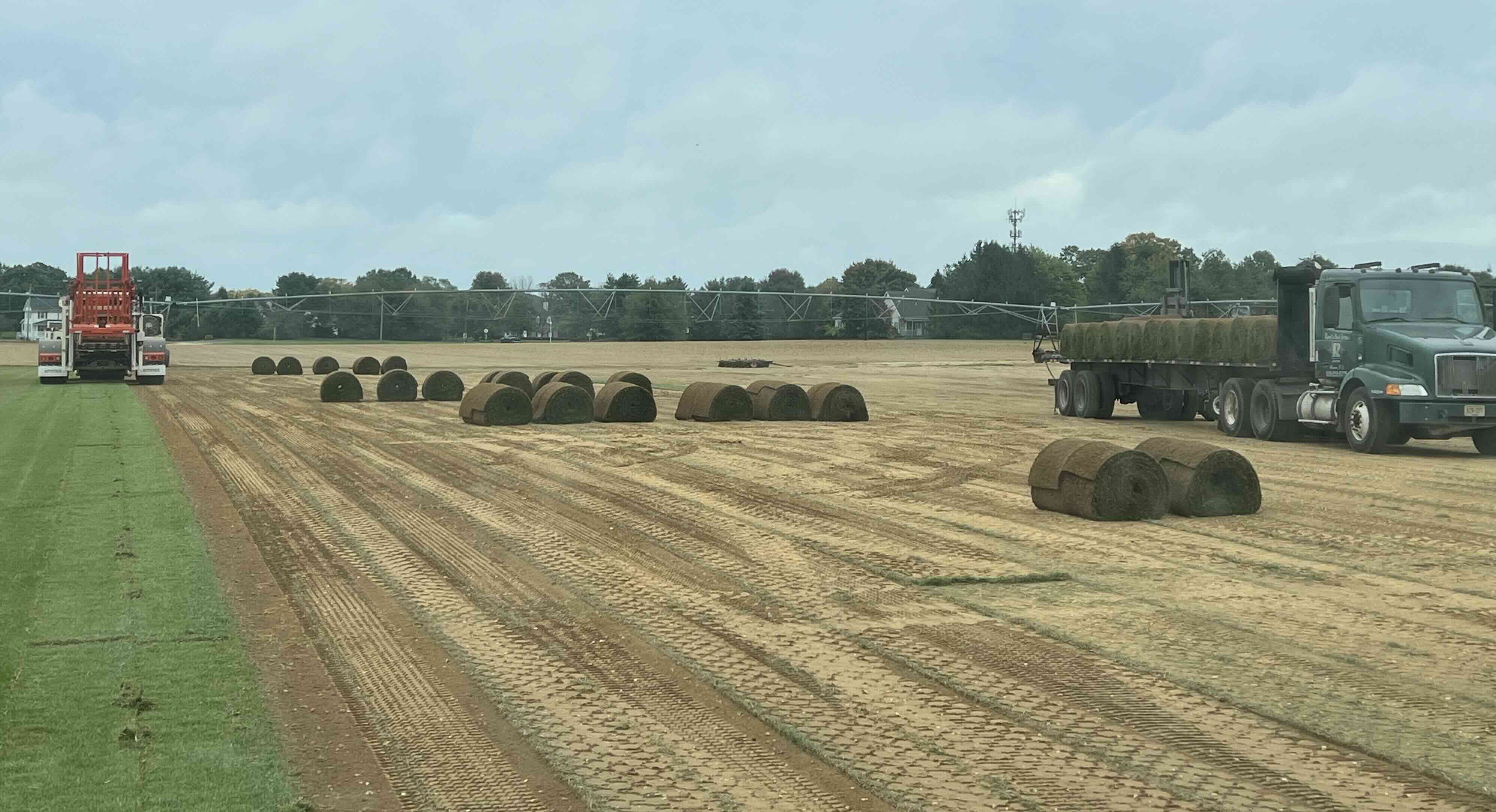 Beautiful mature green lawn after sod installation